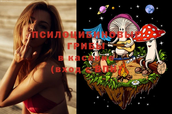 спиды Михайлов